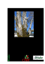 GUT 20150801 Guide de poche des dendroclimats CNPF