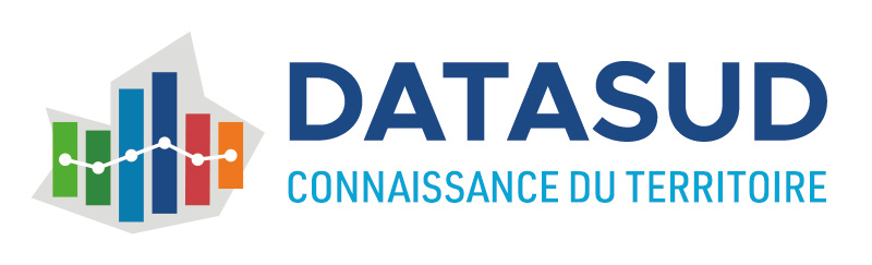 logo DataSud horizontal