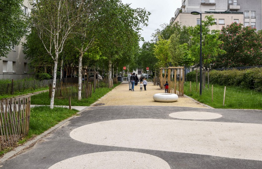 Genoble-place aux piétons