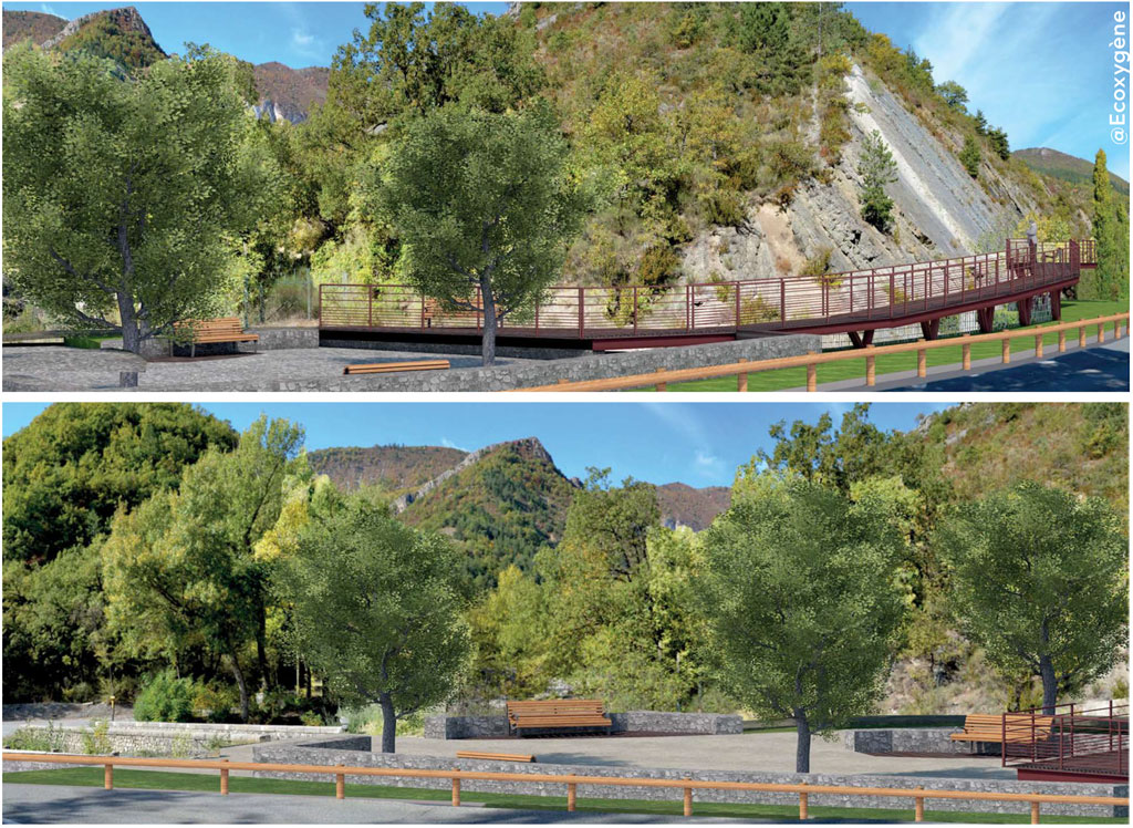 dalle-ammonites-10-1024