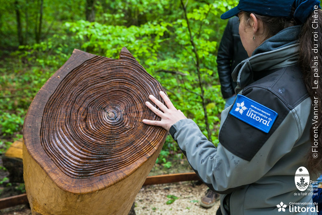 PALAISDUROICHENE-FVANNIER-TACTILE-1024