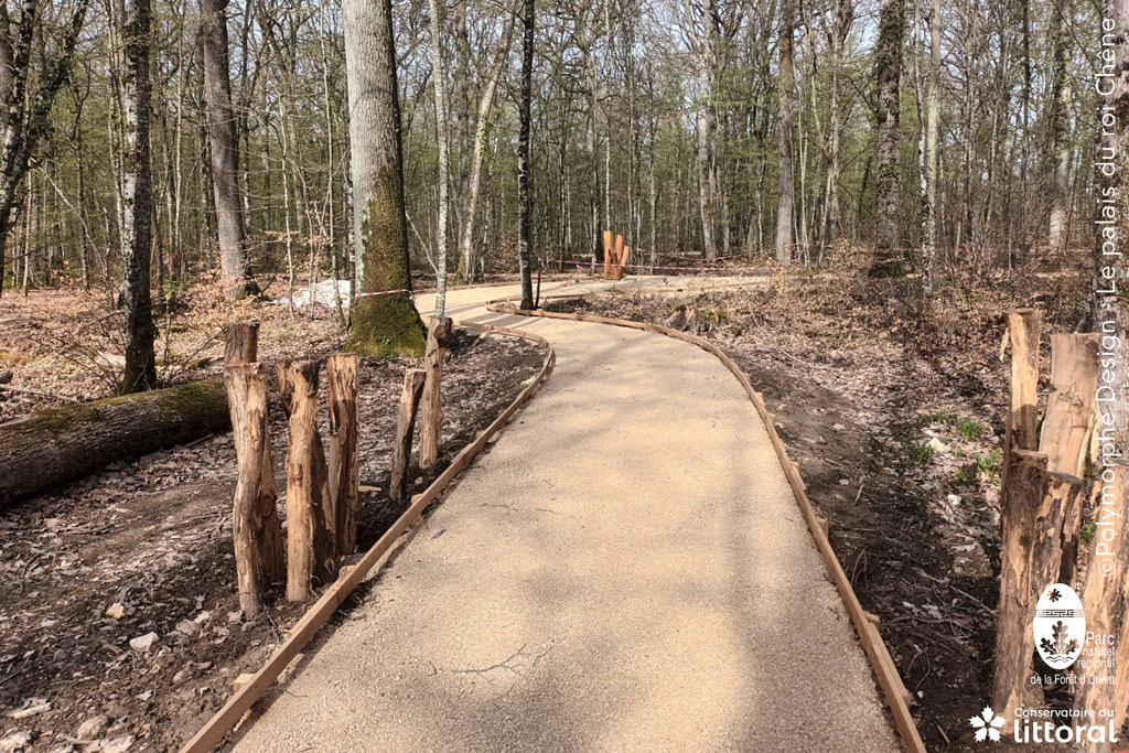 PALAISDUROICHENE-POLYMORPHE-PIEUXBATTUS-1024