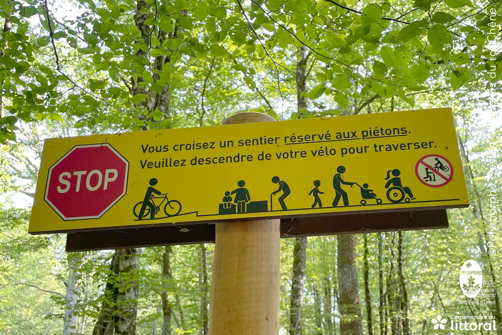 PALAISDUROICHENE-POLYMORPHE-PRIORITE-1024