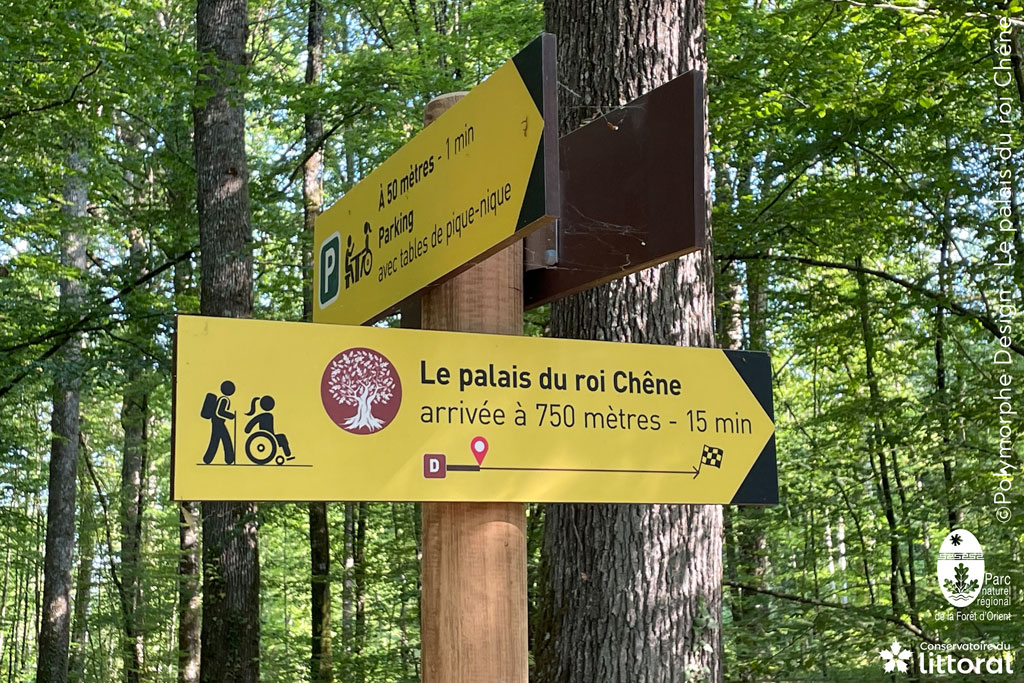 PALAISDUROICHENE-POLYMORPHE-SIGNALETIQUE-1024