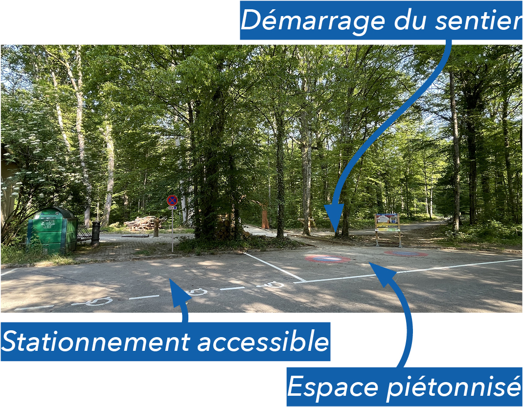 PALAISDUROICHENE-recueil-IMAGE02