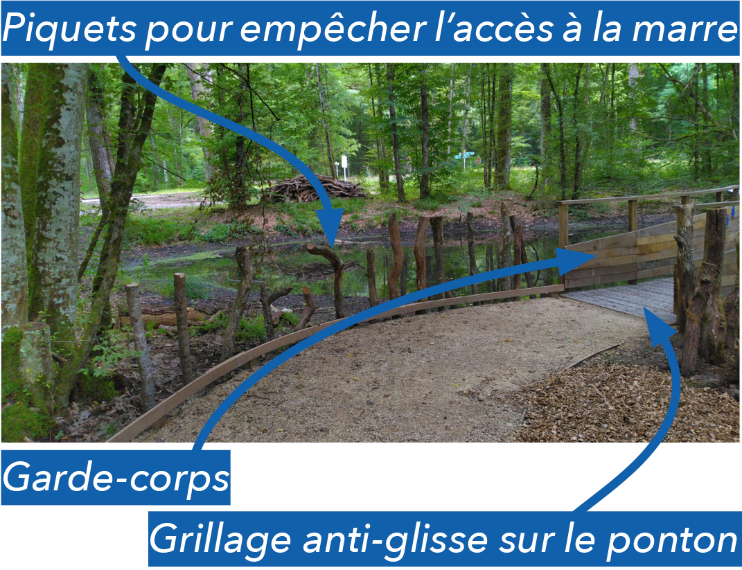 PALAISDUROICHENE-recueil-IMAGE05