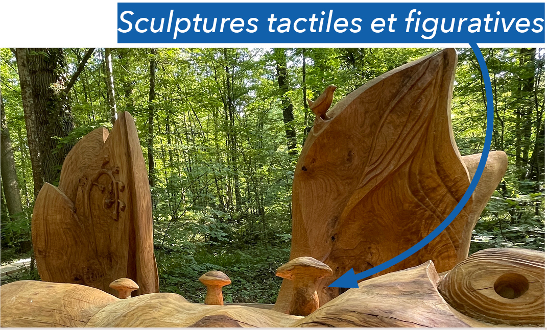 PALAISDUROICHENE-recueil-IMAGE06