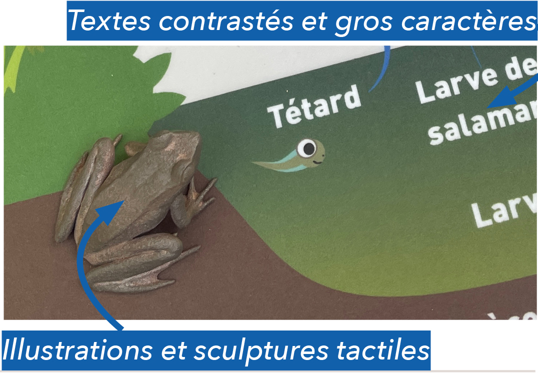 PALAISDUROICHENE-recueil-IMAGE07