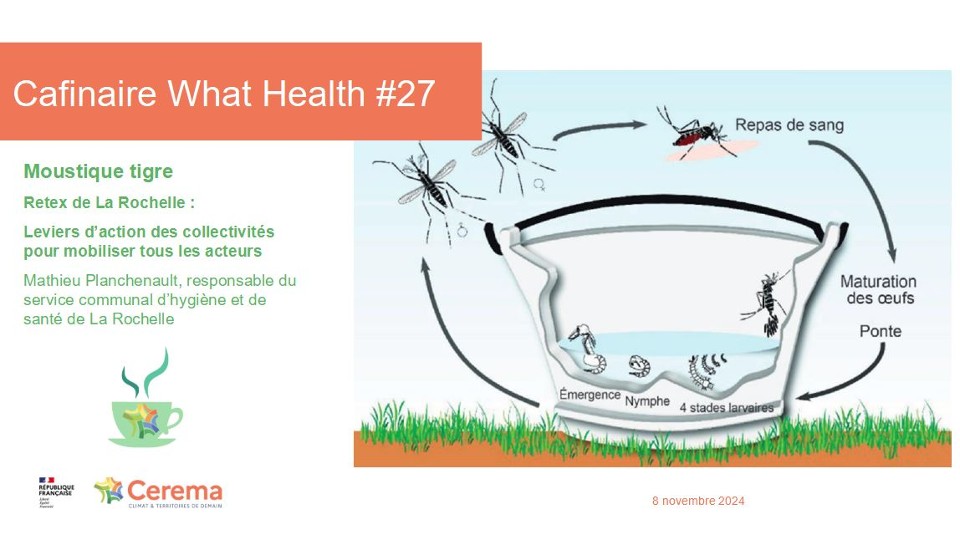 SlidesCaféWhatHealth présentation today 2024 27