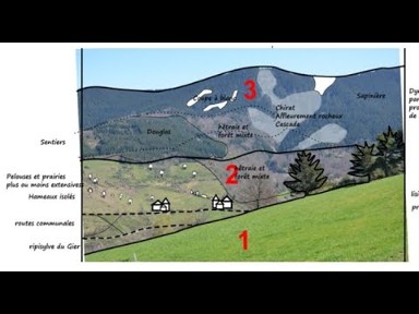 Webinaire n°003 - Miniature