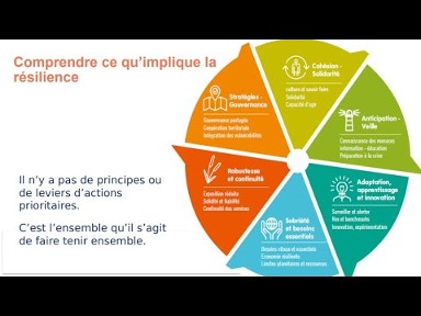 Webinaire n°009 - Miniature