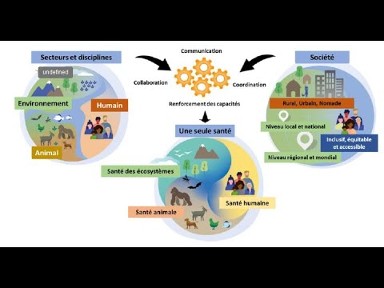 Webinaire n°010 - Miniature