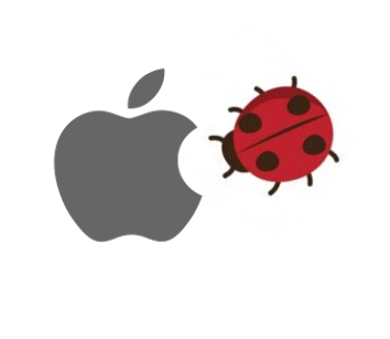 2025-02-21 14 26 37-Window