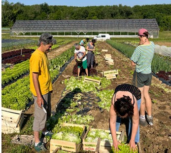 Webinaire n°013 - Miniature