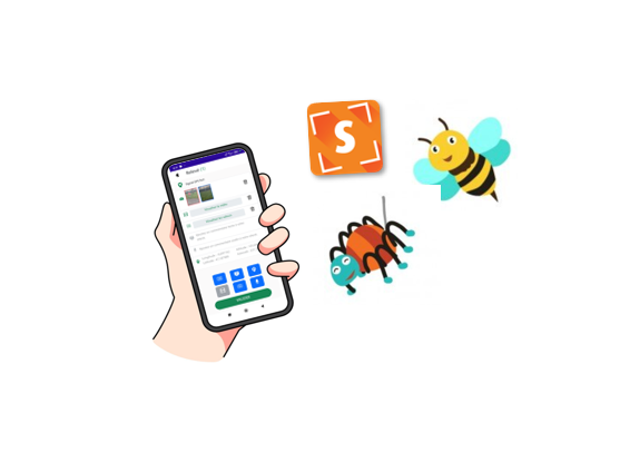 Capture d'écran 2026-04-21 145451