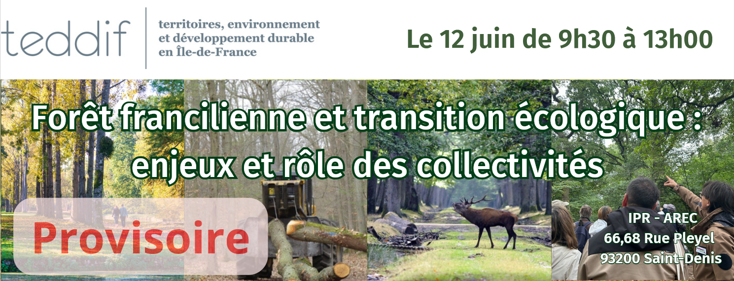 teddif foret bandeau