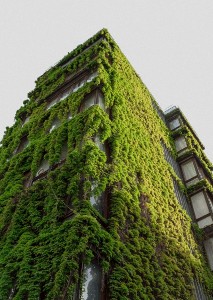 Les espaces verts urbains en France : une création de valeur via les bienfaits sanitaires et environnementaux - ASTERÈS