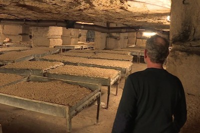 Coyolles (02) - La construction d'un viaduc menace l'activité de cette champignonnière, les propriétaires et salariés refusent de quitter les lieux