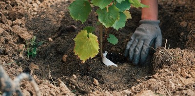 L’adaptation silencieuse : ces transformations qui échappent aux politiques publiques