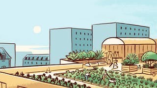 BD : Pourquoi mettre des fermes dans les villes ?