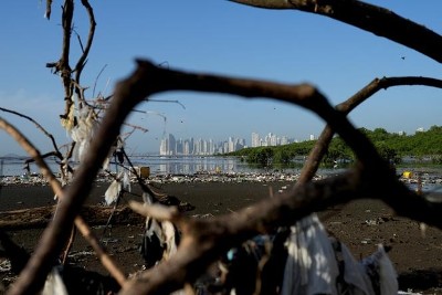 Biodiversité, eau, santé, alimentation, climat : des scientifiques évaluent 71 solutions pour répondre de front à ces crises