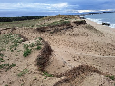 Face à l'érosion des côtes, deux agglomérations de Loire-Atlantique s'unissent