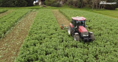 [VIDEO] L'agriculture, source de crédits carbone pour les entreprises