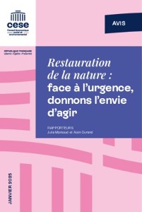 Restauration de la nature : face à l’urgence, donnons l’envie d’agir | Le Conseil économique social et environnemental