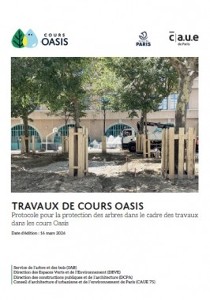 Protocole pour la protection des arbres dans le cadre des travaux dans les cours Oasis | Nature En Ville
