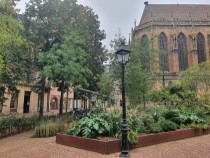 Journée technique "Concilier préservation du patrimoine historique &amp; enjeux écologiques et paysagers" le 22 septembre 2026 à Paris - Plante &amp; Cité