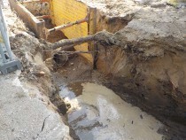 [Cycle de webinaires 2026] Racines d’arbres et réseaux enterrés : (a)ménager la cohabitation - Plante &amp; Cité