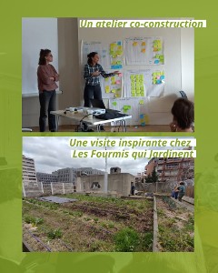Fiche ressources – Précarité alimentaire et agriculture urbaine – RÉFAUR