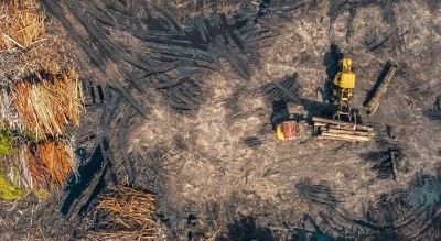 Les sécheresses accélèreraient la "pandémie silencieuse" de l'antibiorésistance à travers la planète