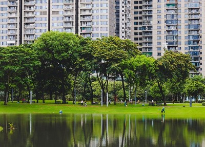 L'impact des espaces verts sur la santé mentale - Université de Bordeaux